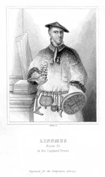 Carolus Linnaeus, naturaliste suédois, 1732 début 19e siècle