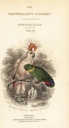 Page de titre avec vignette du cacatoès de Major Mitchell et de l