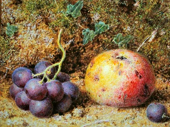 Pommes et raisins