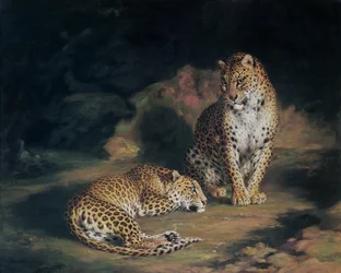 Une paire de léopards, 1845
