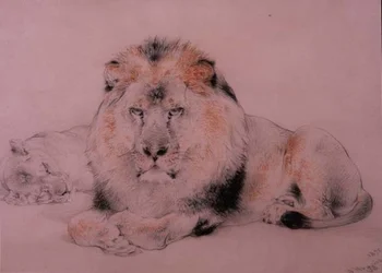 Lion et lionne