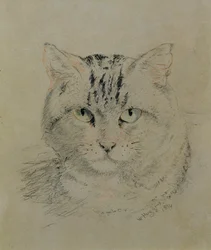 Chat tigré, 1874