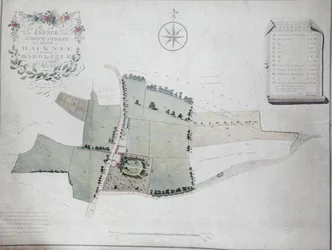 Plan d
