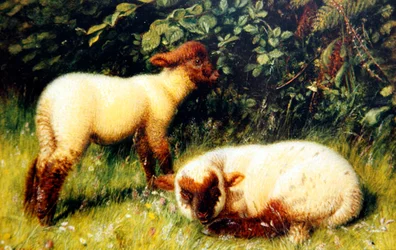 Moutons, vers 1860