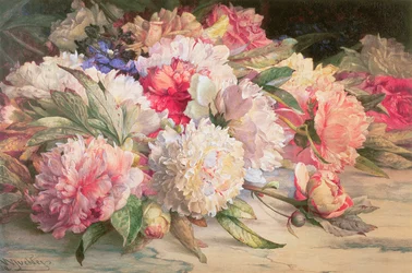 Pivoines, 1892
