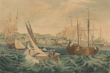 Quarantaine, Staten Island, 1833