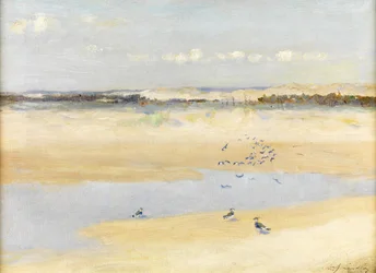 Vanneaux par la mer