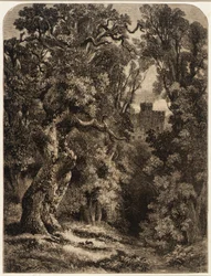 Paysage