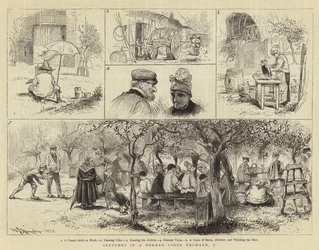 Croquis dans un verger de cidre normand, I