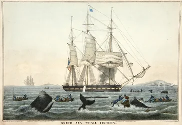 Pêche à la baleine dans le Pacifique Sud, pub. 1825