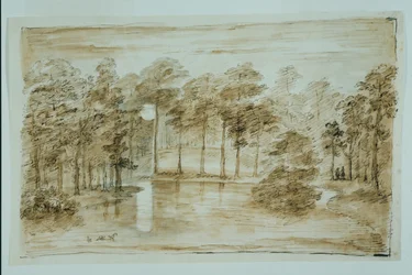 Conception pour le jardin aquatique boisé, vu au clair de lune