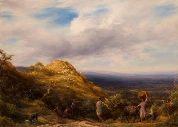 Une vallée boisée et une colline