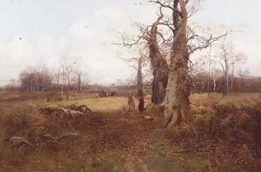 Paysage d