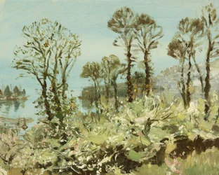 Un bosquet fleuri