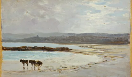 Plage à Marée Basse : Soir
