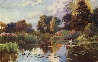 Le lac dans les jardins botaniques