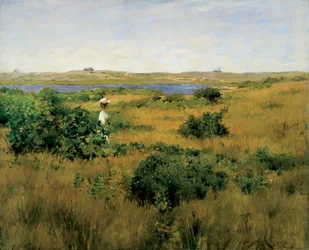 Été à Shinnecock Hills