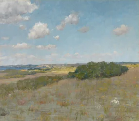 Lumière du soleil et ombre, collines de Shinnecock