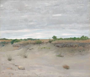 Sables balayés par le vent