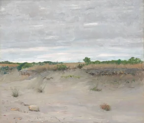 Sables balayés par le vent