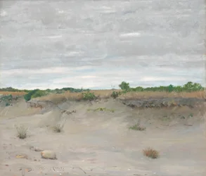 Sables balayés par le vent