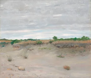 Plage de sable balayée par le vent
