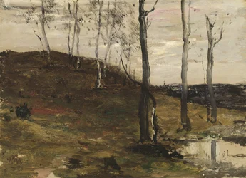 Colline avec des arbres