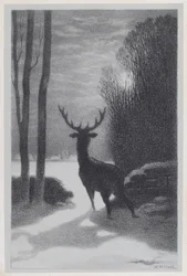 Cerf au clair de lune