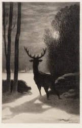 Cerf au clair de lune