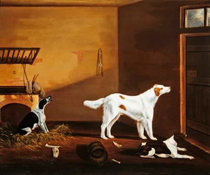 Trois chiens dans une écurie