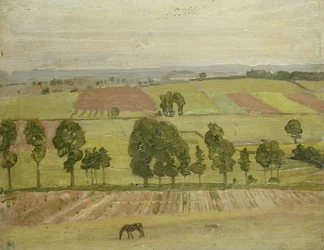 Plaine de Glastonbury