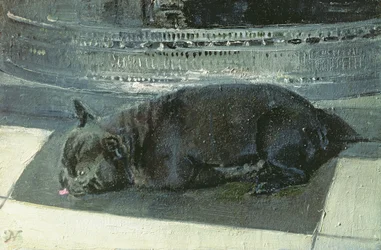 Napoléon