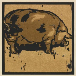 Le Livre Carré des Animaux : Le Cochon Savant