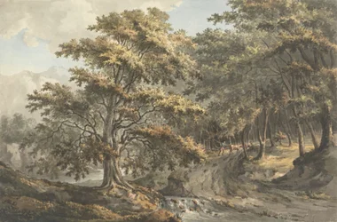 Paysage avec rivière et conducteur de bétail en arrière-plan