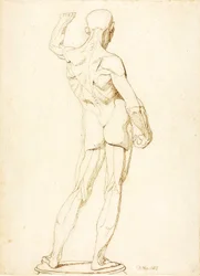 (Une Ecorche, vue arrière)