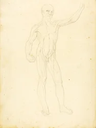 (Une Ecorche, vue de face)