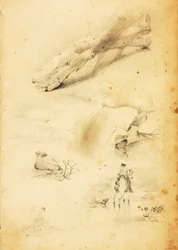 (Études - figures, rondins, cheval et cavalier, etc.)