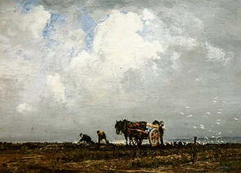 Récolte d
