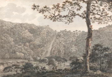 Les Chutes de Powerscourt, Co. Wicklow, Irlande