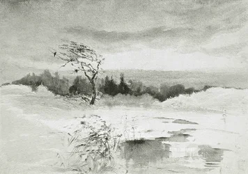 Paysage avec eau et arbre balayé par le vent