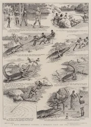 Une journée de pêche au crocodile, la première et unique expérience d