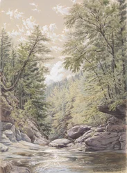 Catskill Clove à Palingsville, 1856