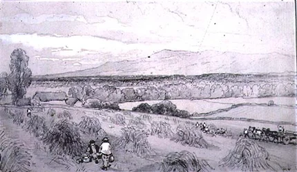 Scène de récolte