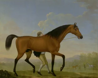 Le cheval bai du duc d