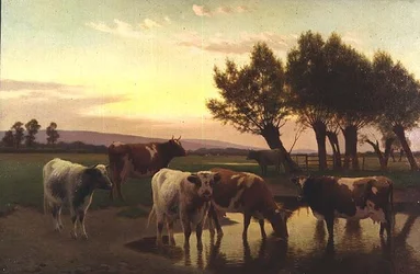 Soir près d