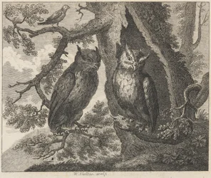 Les deux hiboux et le moineau