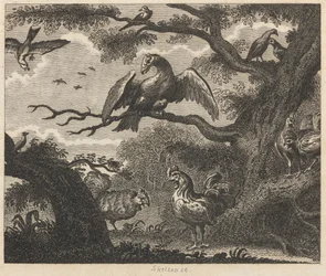 Le Vautour, le Moineau et autres oiseaux