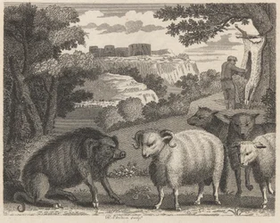 Le sanglier et le bélier