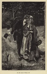 Dans les bois