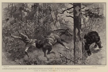 Pris par surprise, chasse à l